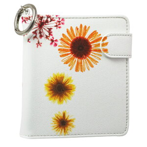 uz֐pviQOS ACRX p U[P[X ]^ / V^ 2.4PLUS XNGA 蒠^ Ή ^oR P[X Jo[  N[i[ [ ACRXP[X fUC 013427 v iqos005nb