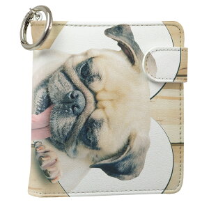 uz֐pviQOS ACRX p U[P[X ]^ / V^ 2.4PLUS XNGA 蒠^ Ή ^oR P[X Jo[  N[i[ [ ACRXP[X fUC 013529 v iqos005nb