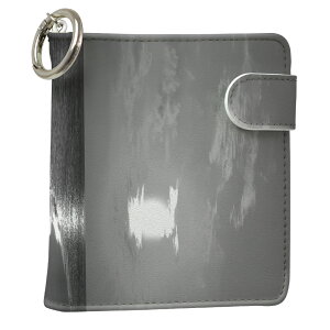 uz֐pviQOS ACRX p U[P[X ]^ / V^ 2.4PLUS XNGA 蒠^ Ή ^oR P[X Jo[  N[i[ [ ACRXP[X fUC 014558 v iqos005nb