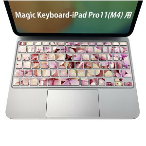 Magic Keyboard p iPadPro11inch 13inch(M4) 2024 5 Ή L[{[hpXLV[ L[gbv XebJ[ ACpbh m[gp\R ANZT[ ی 020806 }XNfUC F f ԁ@t