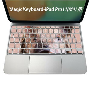 Magic Keyboard p iPadPro11inch 13inch(M4) 2024 5 Ή L[{[hpXLV[ L[gbv XebJ[ ACpbh m[gp\R ANZT[ ی 020806 }XNfUC F f @