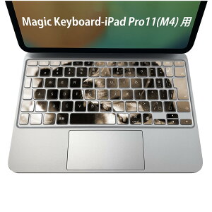 Magic Keyboard p iPadPro11inch 13inch(M4) 2024 5 Ή L[{[hpXLV[ L[gbv XebJ[ ACpbh m[gp\R ANZT[ ی 020806 }XNfUC F f ʐ^@