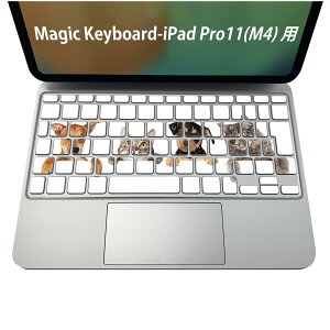 Magic Keyboard p iPadPro11inch 13inch(M4) 2024 5 Ή L[{[hpXLV[ L[gbv XebJ[ ACpbh m[gp\R ANZT[ ی 020806 }XNfUC F f @L