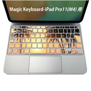 Magic Keyboard p iPadPro11inch 13inch(M4) 2024 5 Ή L[{[hpXLV[ L[gbv XebJ[ ACpbh m[gp\R ANZT[ ی 020806 }XNfUC F f ʐ^@