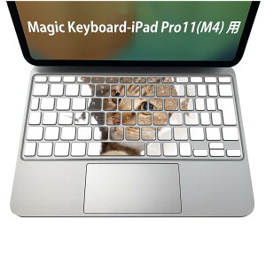 Magic Keyboard p iPadPro11inch 13inch(M4) 2024 5 Ή L[{[hpXLV[ L[gbv XebJ[ ACpbh m[gp\R ANZT[ ی 020806 }XNfUC F f L@