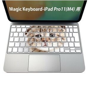 Magic Keyboard p iPadPro11inch 13inch(M4) 2024 5 Ή L[{[hpXLV[ L[gbv XebJ[ ACpbh m[gp\R ANZT[ ی 020806 }XNfUC F f L@