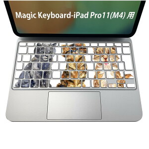 Magic Keyboard p iPadPro11inch 13inch(M4) 2024 5 Ή L[{[hpXLV[ L[gbv XebJ[ ACpbh m[gp\R ANZT[ ی 020806 }XNfUC F f L@