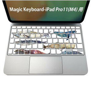 Magic Keyboard p iPadPro11inch 13inch(M4) 2024 5 Ή L[{[hpXLV[ L[gbv XebJ[ ACpbh m[gp\R ANZT[ ی 020806 }XNfUC F f @C