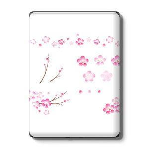 Kindle Paperwhite ��12���� ��11���� ��10���� / Kindle ��11���� ��10���� �Ή� �X�L���V�[�� �w�� �ی� �������� �X�e�b�J�[ �d�q���Ѓ��[�_�[ �\�邾�� ����2������ igsticker 015260