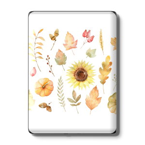 Kindle Paperwhite ��12���� ��11���� ��10���� / Kindle ��11���� ��10���� �Ή� �X�L���V�[�� �w�� �ی� �������� �X�e�b�J�[ �d�q���Ѓ��[�_�[ �\�邾�� ����2������ igsticker 015402
