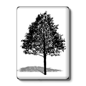 Kindle Paperwhite ��12���� ��11���� ��10���� / Kindle ��11���� ��10���� �Ή� �X�L���V�[�� �w�� �ی� �������� �X�e�b�J�[ �d�q���Ѓ��[�_�[ �\�邾�� ����2������ igsticker 015665