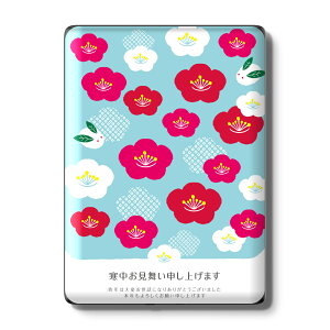 Kindle Paperwhite ��12���� ��11���� ��10���� / Kindle ��11���� ��10���� �Ή� �X�L���V�[�� �w�� �ی� �������� �X�e�b�J�[ �d�q���Ѓ��[�_�[ �\�邾�� ����2������ igsticker 015796