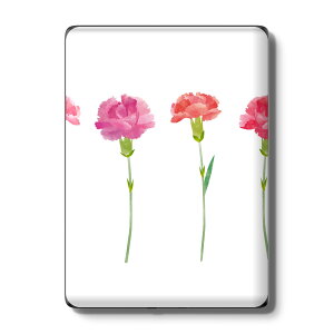 Kindle Paperwhite ��12���� ��11���� ��10���� / Kindle ��11���� ��10���� �Ή� �X�L���V�[�� �w�� �ی� �������� �X�e�b�J�[ �d�q���Ѓ��[�_�[ �\�邾�� ����2������ igsticker 015832