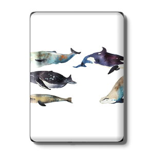 Kindle Paperwhite ��12���� ��11���� ��10���� / Kindle ��11���� ��10���� �Ή� �X�L���V�[�� �w�� �ی� �������� �X�e�b�J�[ �d�q���Ѓ��[�_�[ �\�邾�� ����2������ igsticker 015835