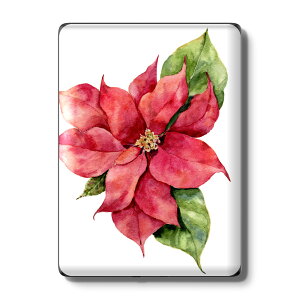 Kindle Paperwhite ��12���� ��11���� ��10���� / Kindle ��11���� ��10���� �Ή� �X�L���V�[�� �w�� �ی� �������� �X�e�b�J�[ �d�q���Ѓ��[�_�[ �\�邾�� ����2������ igsticker 015866