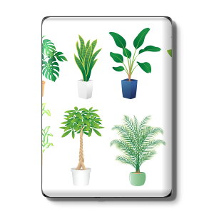 Kindle Paperwhite ��12���� ��11���� ��10���� / Kindle ��11���� ��10���� �Ή� �X�L���V�[�� �w�� �ی� �������� �X�e�b�J�[ �d�q���Ѓ��[�_�[ �\�邾�� ����2������ igsticker 015924