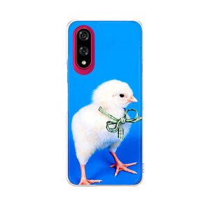 BASIO active3 KYG04 xCVI ANeBu3 p kyg04 P[X Jo[ n[hP[X 002683 @@ʐ^