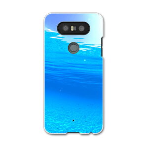L-01J V20 PRO Electronics LGGNgjNX l01j docomo hR X}z Jo[ P[X X}zP[X X}zJo[ PC n[hP[X C ʐ^Ei 000864