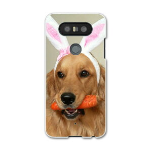 L-01J V20 PRO Electronics LG�G���N�g���j�N�X l01j docomo �h�R�� �X�}�z �J�o�[ �P�[�X �X�}�z�P�[�X �X�}�z�J�o�[ PC �n�[�h�P�[�X ���@�S�[���f���@���� �A�j�}�� 001111