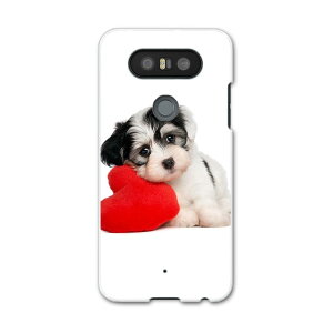 L-01J V20 PRO Electronics LGGNgjNX l01j docomo hR X}z Jo[ P[X X}zP[X X}zJo[ PC n[hP[X @@ʐ^ Aj} 002793