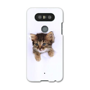 L-01J V20 PRO Electronics LG�G���N�g���j�N�X l01j docomo �h�R�� �X�}�z �J�o�[ �P�[�X �X�}�z�P�[�X �X�}�z�J�o�[ PC �n�[�h�P�[�X �L�@�����@�ʐ^ �A�j�}�� 002892