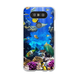 L-01J V20 PRO Electronics LGGNgjNX l01j docomo hR X}z Jo[ P[X X}zP[X X}zJo[ PC n[hP[X C@@ʐ^ Aj} ʐ^Ei 004493