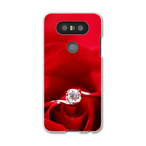 L-01J V20 PRO Electronics LGGNgjNX l01j docomo hR X}z Jo[ P[X X}zP[X X}zJo[ PC n[hP[X ԁ@wց@KN u[ 005136