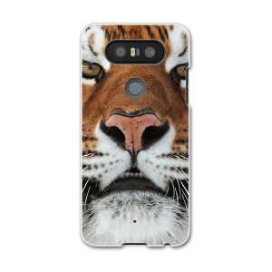 LGV34 isaiBeat CTC r[g LG Electronics LGGNgjNX au G[[lgv34 X}z Jo[ P[X X}zP[X X}zJo[ PC n[hP[X 008090 ʐ^@g@Ձ@