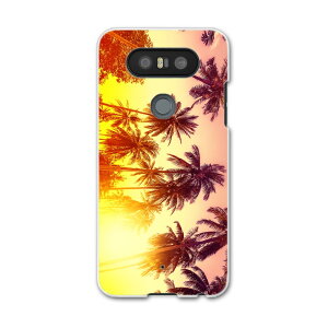 L-01J V20 PRO Electronics LGGNgjNX l01j docomo hR X}z Jo[ P[X X}zP[X X}zJo[ PC n[hP[X ā@V̖؁@[ 011302