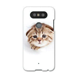 LGV34 isaiBeat CTC r[g LG Electronics LGGNgjNX au G[[lgv34 X}z Jo[ P[X X}zP[X X}zJo[ PC n[hP[X 013568 L@ʐ^@qL