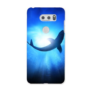 L-01K V30+ l01k docomo �h�R�� �X�}�z �J�o�[ �P�[�X �X�}�z�P�[�X �X�}�z�J�o�[ PC �n�[�h�P�[�X ���@������@�C 012652