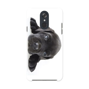 L-03K LG Electronics LG style GW[X^C l03k docomo hR X}z Jo[ P[X X}zP[X X}zJo[ PC n[hP[X 000127 @@t`uhbN@_bNXtg