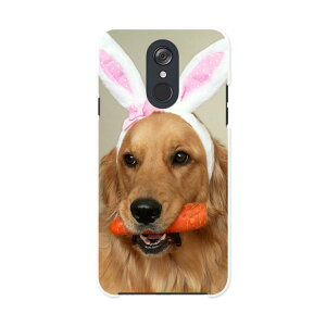 L-03K LG Electronics LG style GW[X^C l03k docomo hR X}z Jo[ P[X X}zP[X X}zJo[ PC n[hP[X 001111 @S[f@