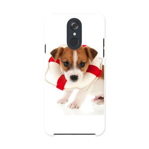 L-03K LG Electronics LG style GW[X^C l03k docomo hR X}z Jo[ P[X X}zP[X X}zJo[ PC n[hP[X 001242 @