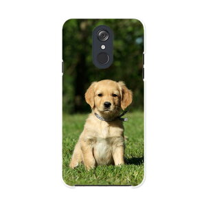 L-03K LG Electronics LG style GW[X^C l03k docomo hR X}z Jo[ P[X X}zP[X X}zJo[ PC n[hP[X 002580 @@ʐ^