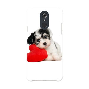 L-03K LG Electronics LG style GW[X^C l03k docomo hR X}z Jo[ P[X X}zP[X X}zJo[ PC n[hP[X 002793 @@ʐ^