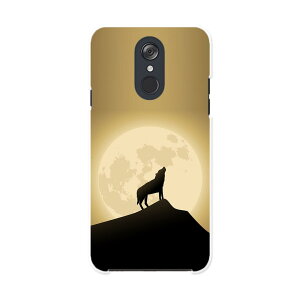 L-03K LG Electronics LG style �G���W�[�X�^�C�� l03k docomo �h�R�� �X�}�z �J�o�[ �P�[�X �X�}�z�P�[�X �X�}�z�J�o�[ PC �n�[�h�P�[�X 003380 �����@���@�ʐ^