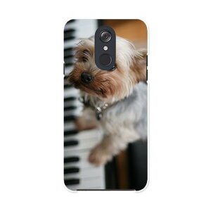 L-03K LG Electronics LG style GW[X^C l03k docomo hR X}z Jo[ P[X X}zP[X X}zJo[ PC n[hP[X 004565 @ʐ^@sAm