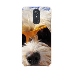 L-03K LG Electronics LG style GW[X^C l03k docomo hR X}z Jo[ P[X X}zP[X X}zJo[ PC n[hP[X 006384 ʐ^@@