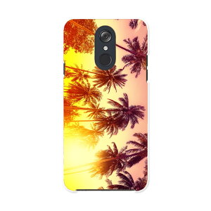 L-03K LG Electronics LG style �G���W�[�X�^�C�� l03k docomo �h�R�� �X�}�z �J�o�[ �P�[�X �X�}�z�P�[�X �X�}�z�J�o�[ PC �n�[�h�P�[�X 011302 �ā@���V�̖؁@�[��
