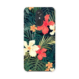 L-03K LG Electronics LG style �G���W�[�X�^�C�� l03k docomo �h�R�� �X�}�z �J�o�[ �P�[�X �X�}�z�P�[�X �X�}�z�J�o�[ PC �n�[�h�P�[�X 012070 �n�C�r�X�J�X�@�ԁ@�A��