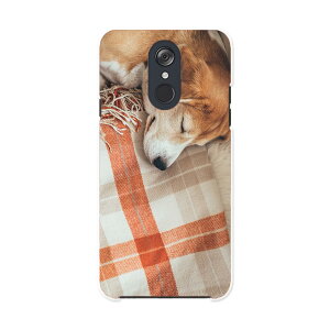 L-03K LG Electronics LG style GW[X^C l03k docomo hR X}z Jo[ P[X X}zP[X X}zJo[ PC n[hP[X 014838 @Q