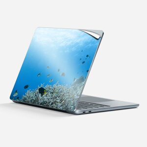Surface Laptop ��7���� 13 �C���` �p �X�L���V�[�� �S�ʃX�L���V�[�� �t�� �w�� �� �X�e�b�J�[ �ی�V�[�� �L�����N�^�[ ���킢�� 000060 �C �� ���R �T���S