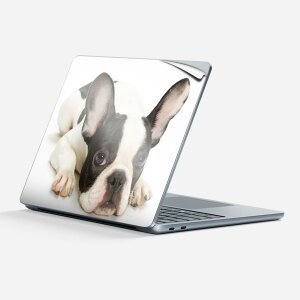 Surface Laptop 7 13 C` p XLV[ SʃXLV[ t w  XebJ[ یV[ LN^[ 킢 000889  t`uhbN