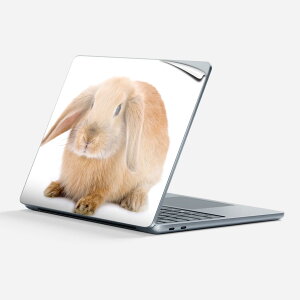 Surface Laptop 7 13 C` p XLV[ SʃXLV[ t w  XebJ[ یV[ LN^[ 킢 001112  