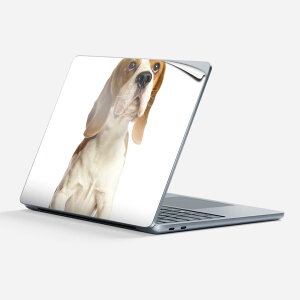 Surface Laptop ��7���� 13 �C���` �p �X�L���V�[�� �S�ʃX�L���V�[�� �t�� �w�� �� �X�e�b�J�[ �ی�V�[�� �L�����N�^�[ ���킢�� 001147 �� �r�[�O��