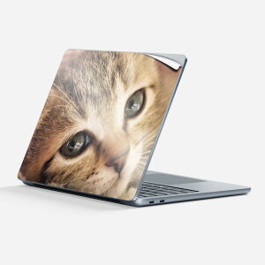 Surface Laptop 7 13 C` p XLV[ SʃXLV[ t w  XebJ[ یV[ LN^[ 킢 001172 lR 