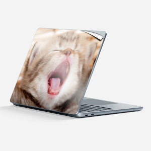 Surface Laptop 第7世代 13 インチ 用 スキンシール 全面スキンシール フル 背面 底 ステッカー 保護シール キャラクター かわいい 001173 ネコ 動物