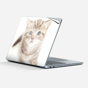 Surface Laptop 7 13 C` p XLV[ SʃXLV[ t w  XebJ[ یV[ LN^[ 킢 001194 lR 