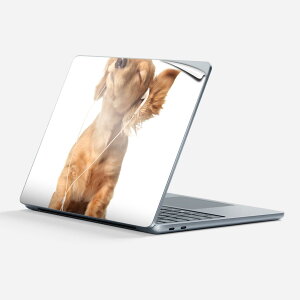 Surface Laptop 7 13 C` p XLV[ SʃXLV[ t w  XebJ[ یV[ LN^[ 킢 001245  _bNXtg 